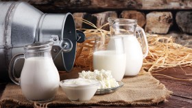 Milchkanne liegt im Stall neben verschiedenen Milchprodukten © beats_, stock.adobe.com