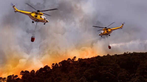 Waldbrand
