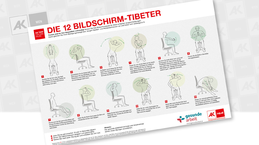 12 Tibeter - Plakat