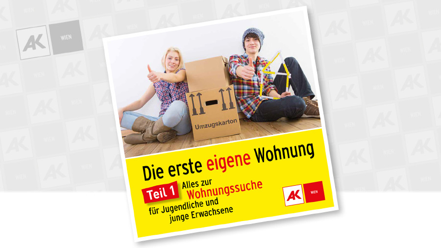 © AK Wien Cover des Falters © AK Wien