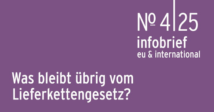 AK Infobrief 4_25 | Bruckner EU-Deregulierung: Was bleibt vom Lieferkettengesetz?