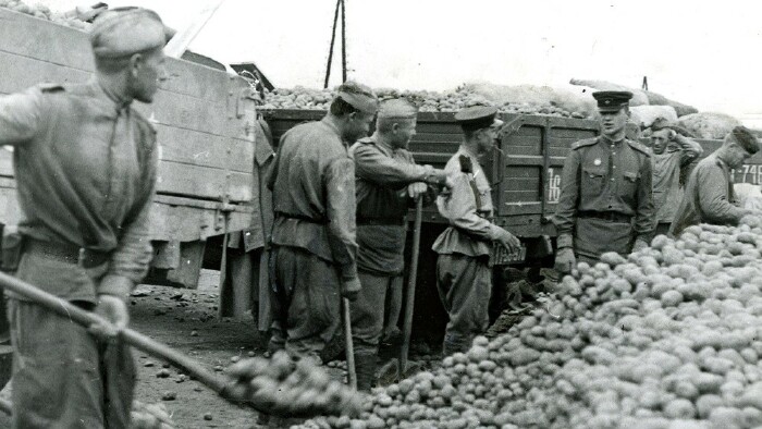 "Erdäpfel für die Wiener:innen" im Jahr 1945