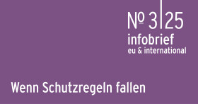 AK Infobrief 3|25 Katzemich/Bank/Duffy: Wenn Schutzregeln fallen