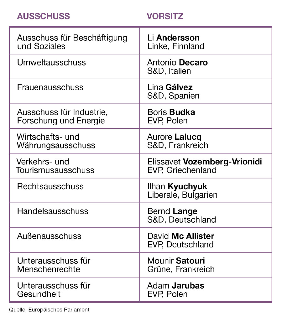 Die Tabelle zeigt für einzelne ausgesuchte Ausschüsse, wer die Leitung der jeweiligen Gremien übernimmt