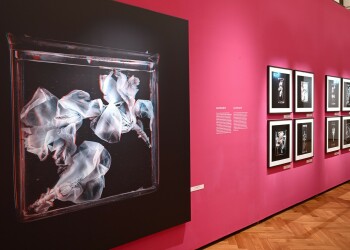 Ausstellung: Two views