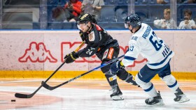 Zwei Hockeyspieler auf dem Eis