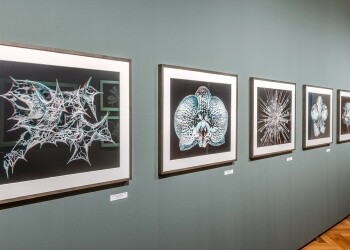 Ausstellung: Two views
