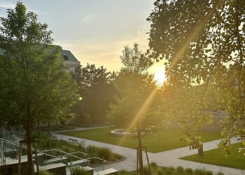 Garten im Bildungszentrum der AK Wien im Sonnenuntergang © AK Wien