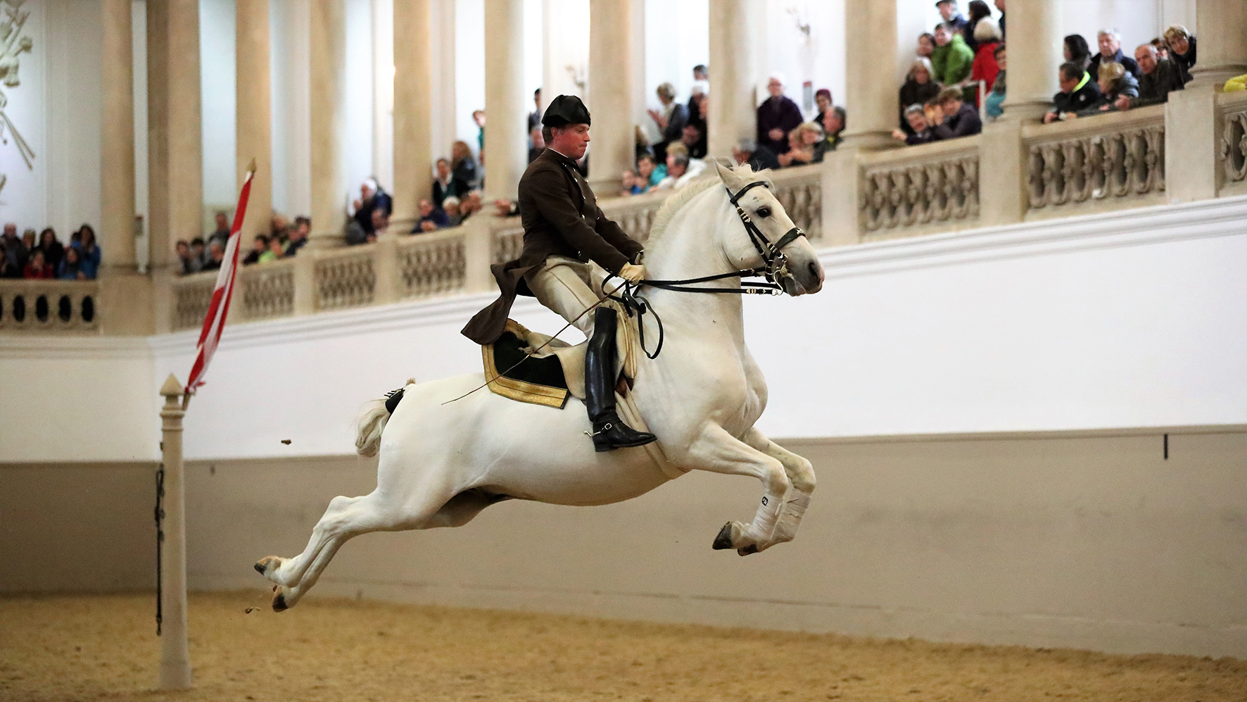 Spanische Hofreitschule Arbeiterkammer Wien